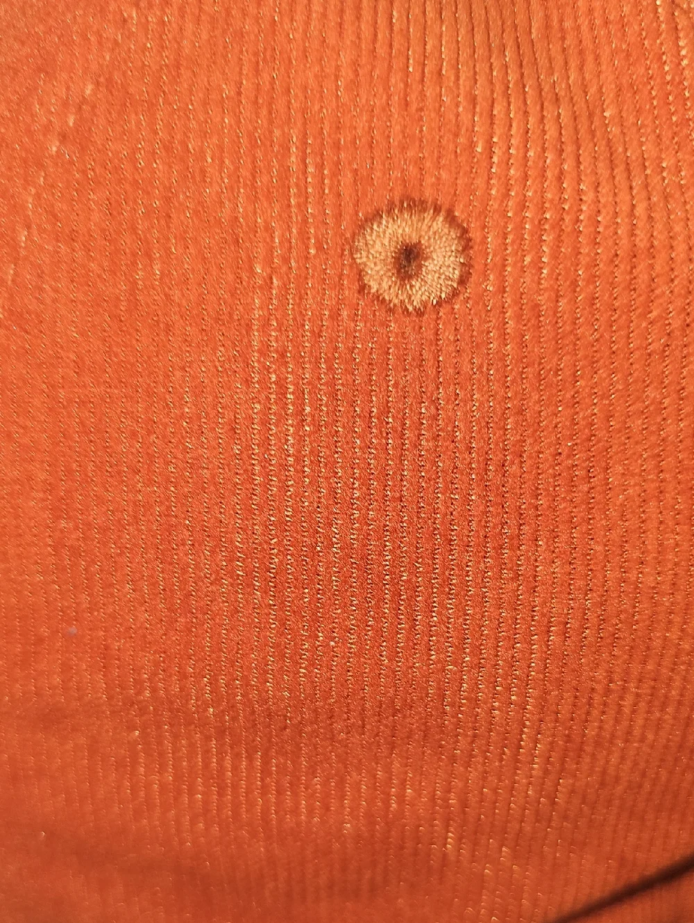 Wonder Nation Kids OSFM 'Explore' Corduroy Baseball Cap Hat Orange Spice New